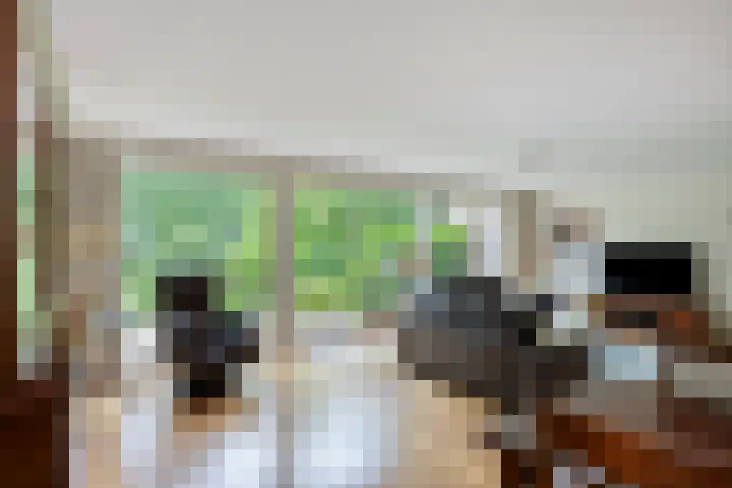 Silkeborg 69 Capelle aan den IJssel thumbnail 5
