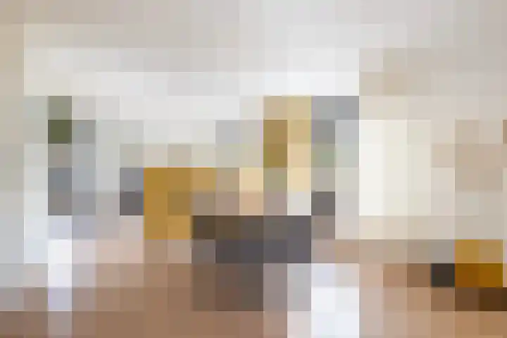 Sillân 4 Britsum thumbnail 10