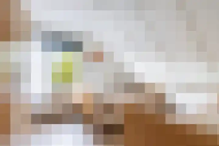 Sillân 4 Britsum thumbnail 27