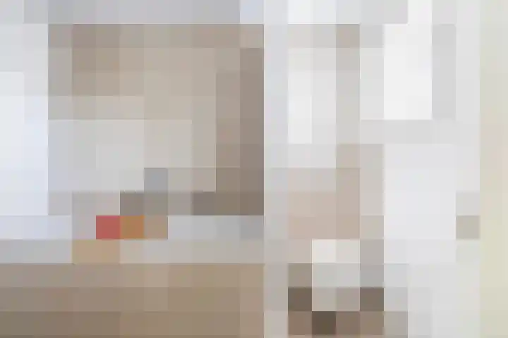 Sillân 4 Britsum thumbnail 33