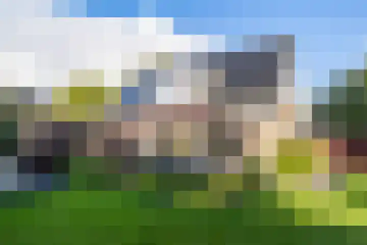 Sillân 4 Britsum thumbnail 35