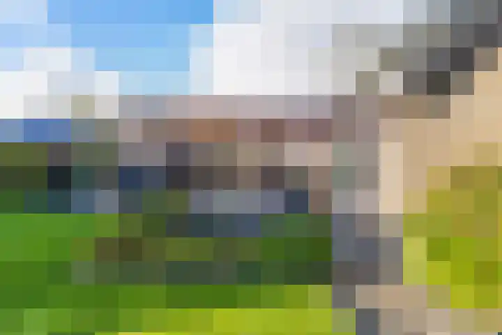 Sillân 4 Britsum thumbnail 36