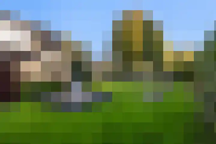 Sillân 4 Britsum thumbnail 38