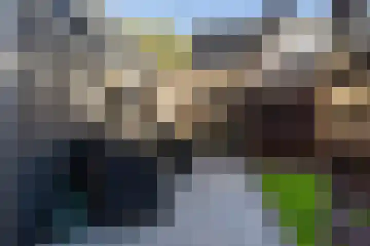 Sillân 4 Britsum thumbnail 39