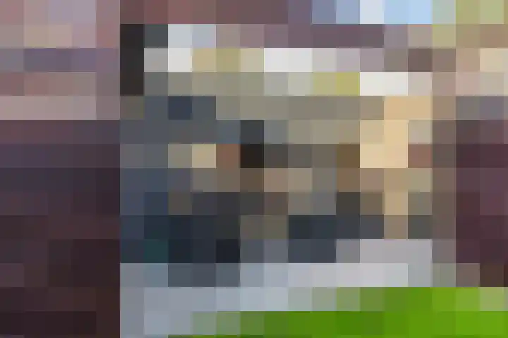 Sillân 4 Britsum thumbnail 40