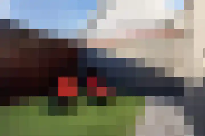Sillân 4 Britsum thumbnail 42