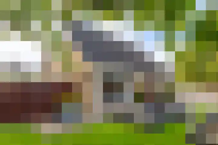 Sillân 4 Britsum thumbnail 45