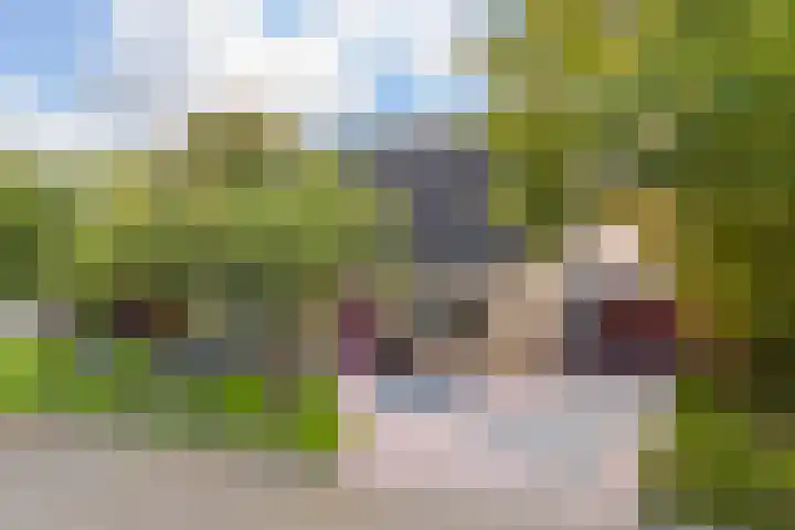 Sillân 4 Britsum thumbnail 46