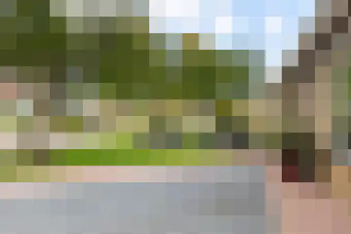 Sillân 4 Britsum thumbnail 47