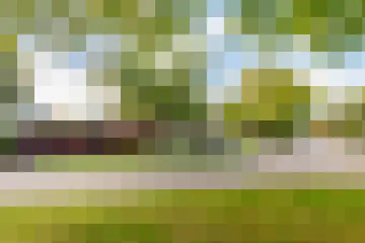Sillân 4 Britsum thumbnail 49