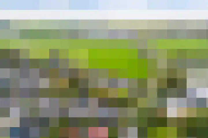 Sillân 4 Britsum thumbnail 51