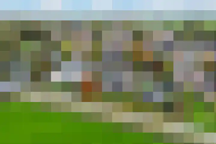 Sillân 4 Britsum thumbnail 52