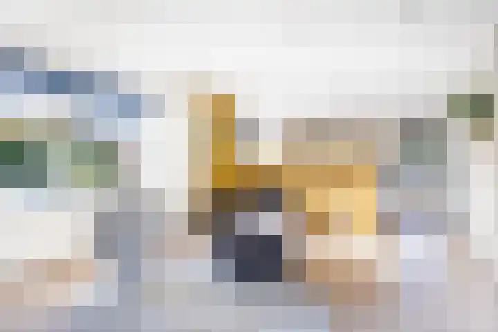 Sillân 4 Britsum thumbnail 8