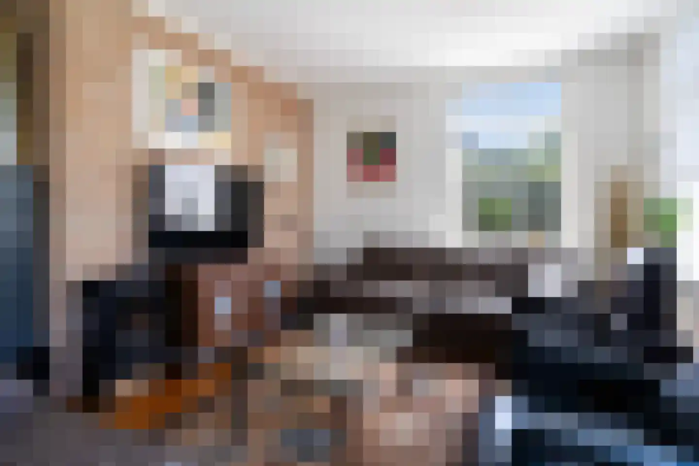 Sillân 6 Britsum thumbnail 11