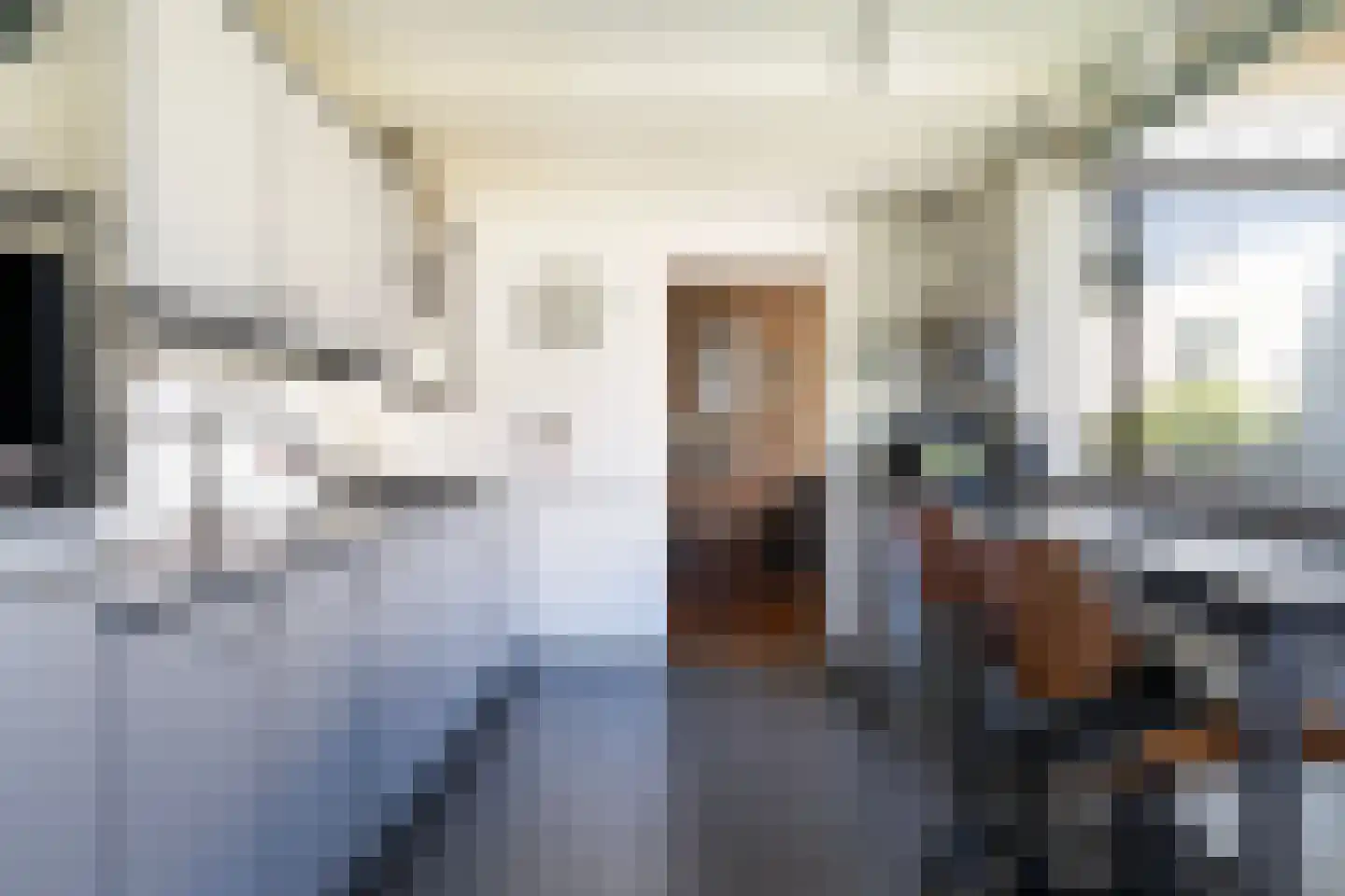 Sillân 6 Britsum thumbnail 15