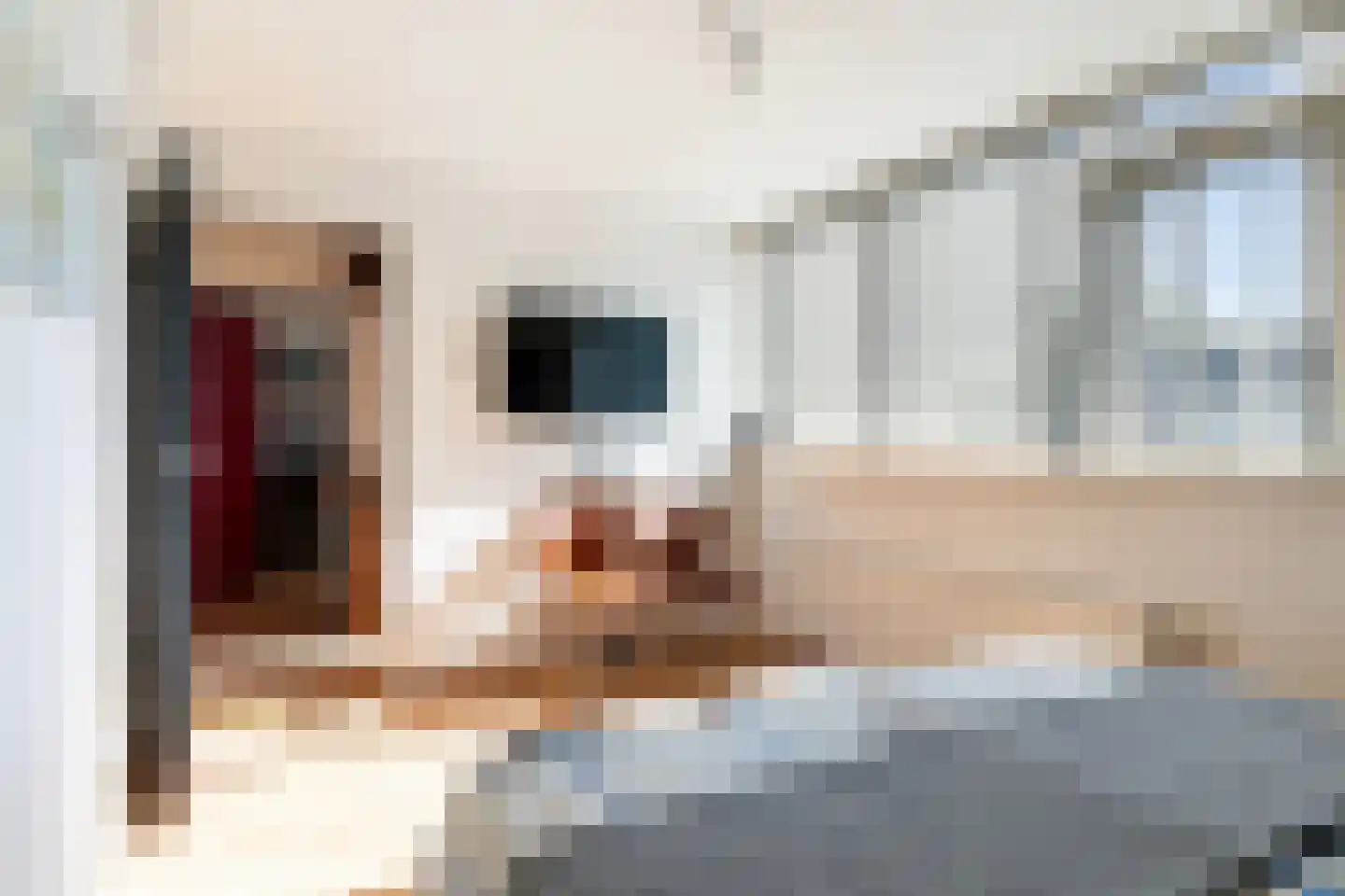 Sillân 6 Britsum thumbnail 21