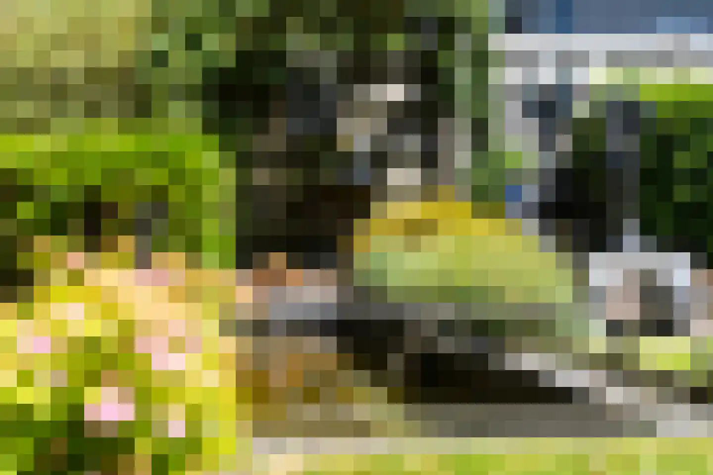 Sillân 6 Britsum thumbnail 37
