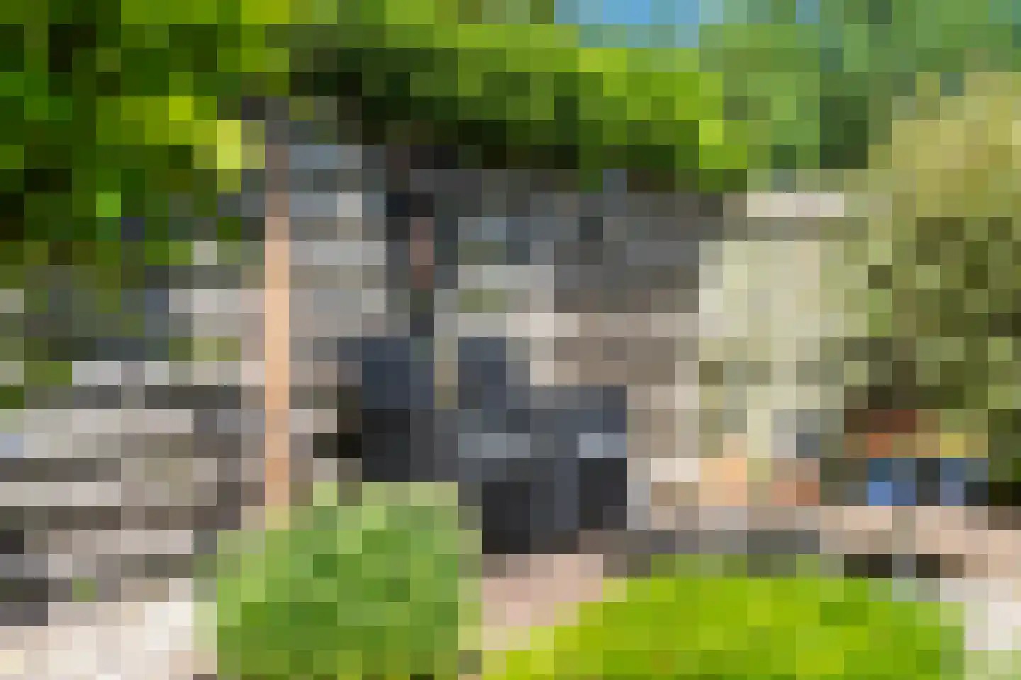 Sillân 6 Britsum thumbnail 39