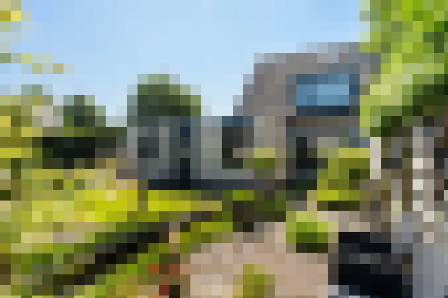 Sillân 6 Britsum thumbnail 4