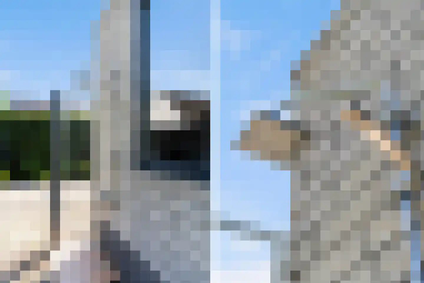 Sillân 6 Britsum thumbnail 41