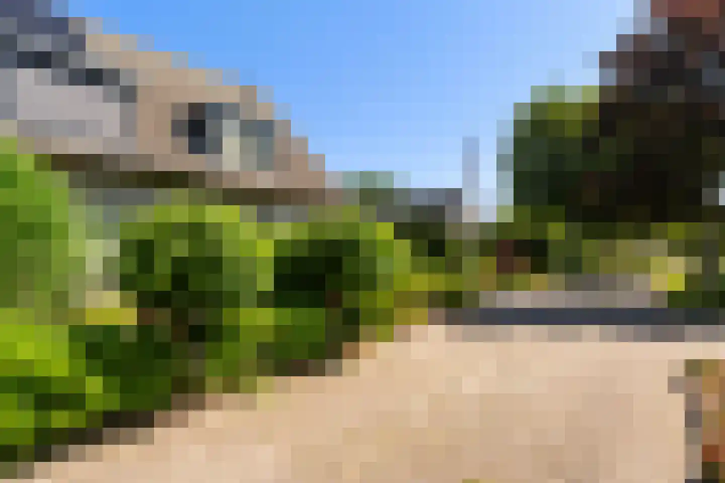 Sillân 6 Britsum thumbnail 45
