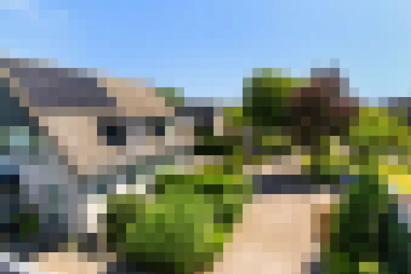 Sillân 6 Britsum thumbnail 46