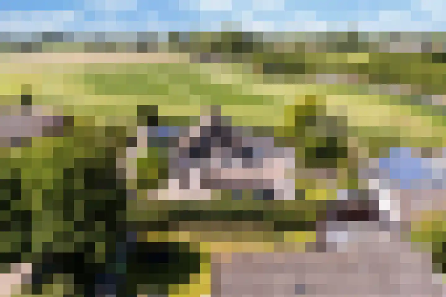 Sillân 6 Britsum thumbnail 48