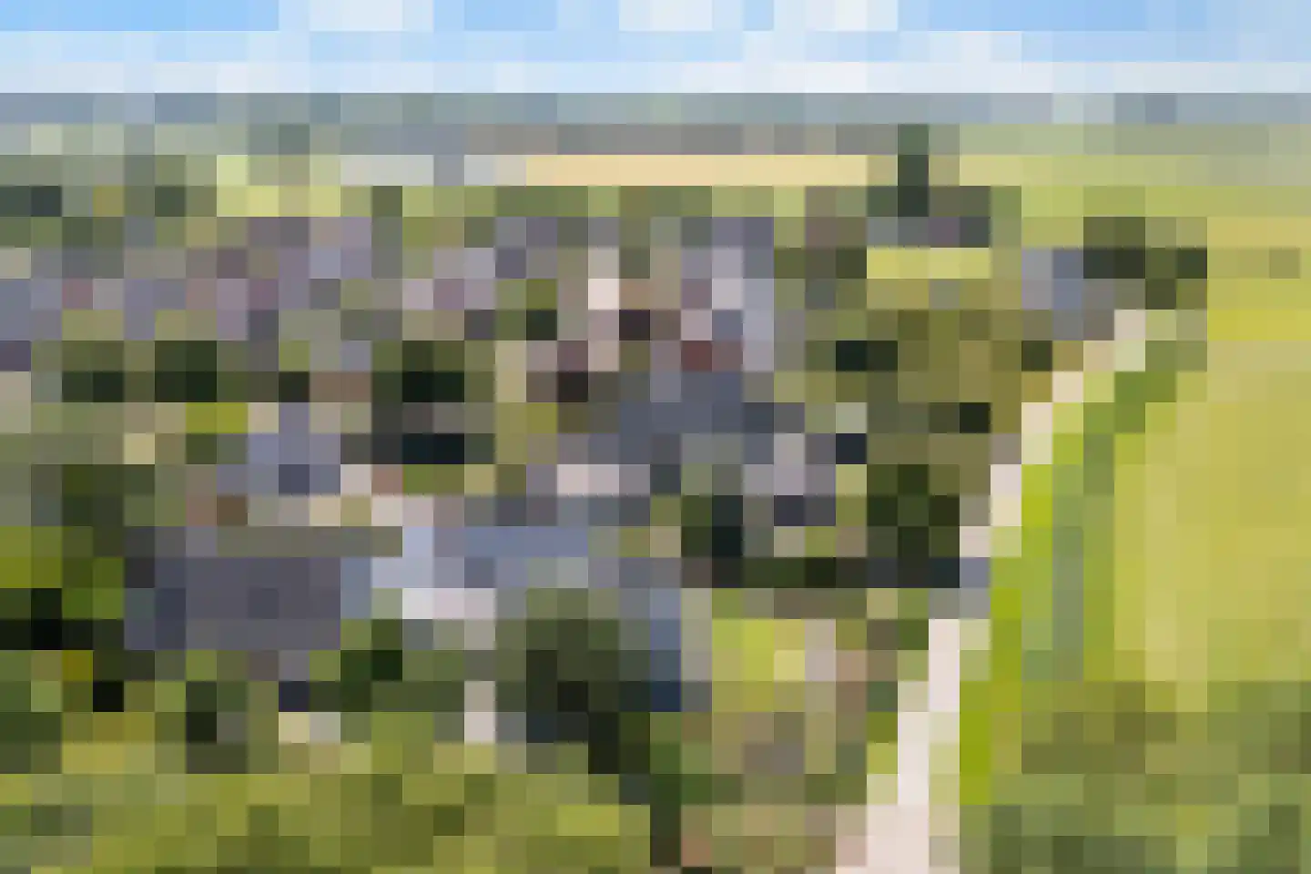 Sillân 6 Britsum thumbnail 53