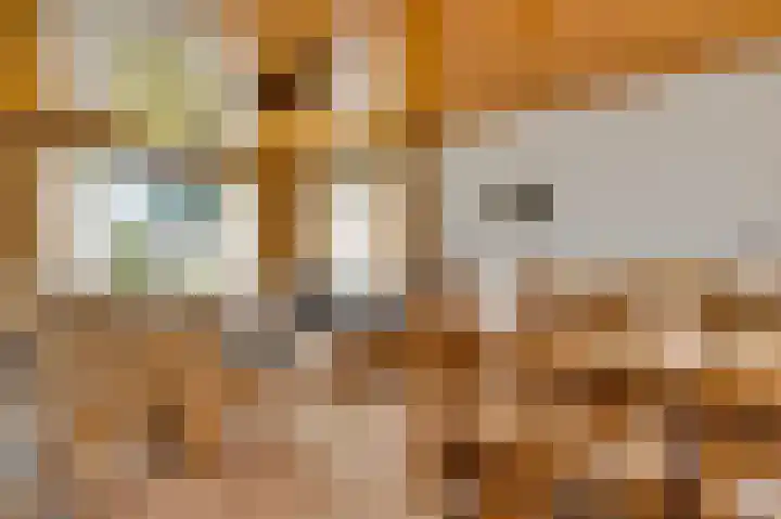 Sillenhoek 21 Leveroy thumbnail 14