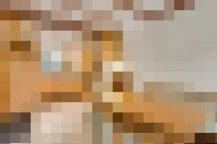 Sillenhoek 21 Leveroy thumbnail 18