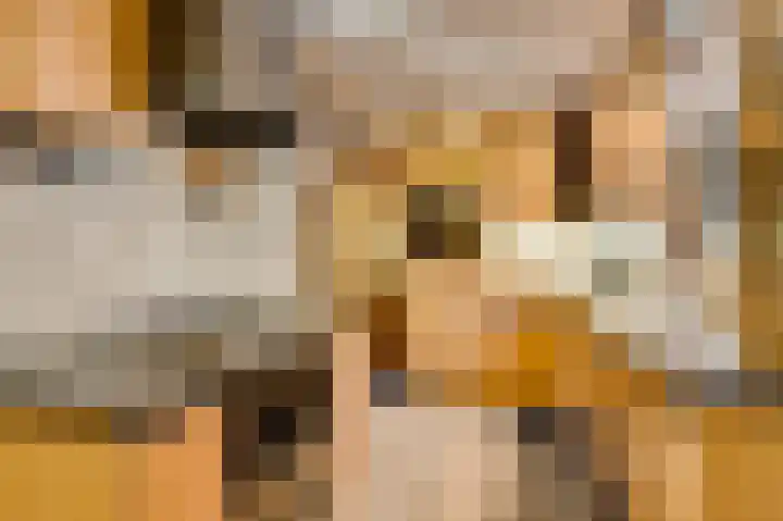 Sillenhoek 21 Leveroy thumbnail 21