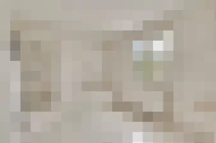Sillenhoek 21 Leveroy thumbnail 26