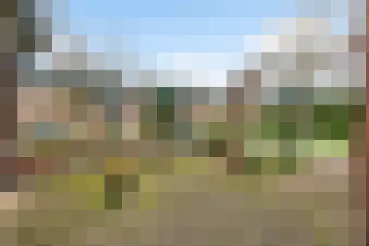 Sillenhoek 21 Leveroy thumbnail 39