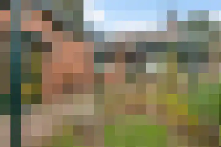 Sillenhoek 21 Leveroy thumbnail 40