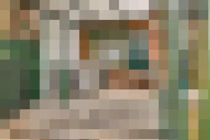 Sillenhoek 21 Leveroy thumbnail 41