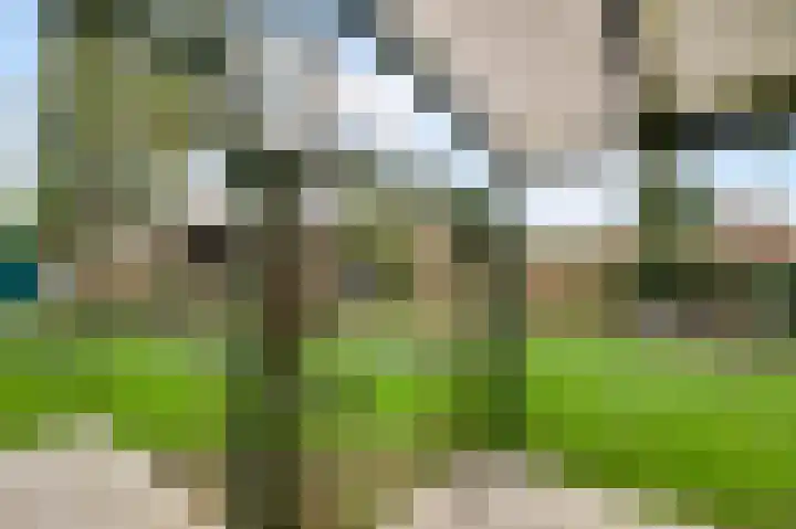 Sillenhoek 21 Leveroy thumbnail 42