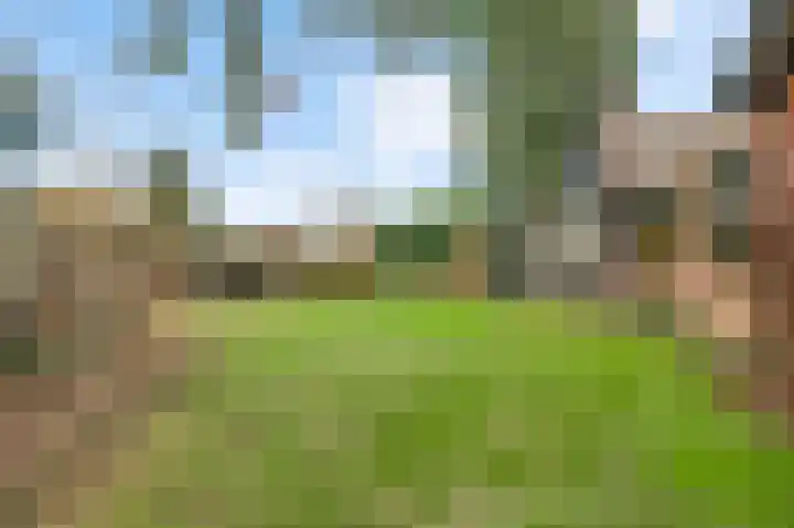 Sillenhoek 21 Leveroy thumbnail 45