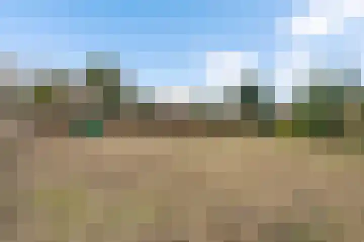 Sillenhoek 21 Leveroy thumbnail 48