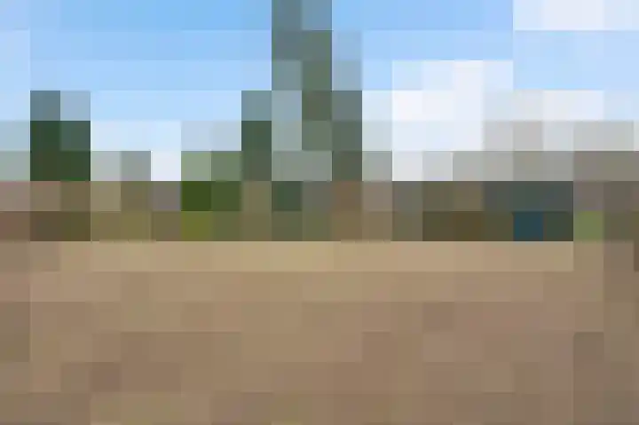 Sillenhoek 21 Leveroy thumbnail 49