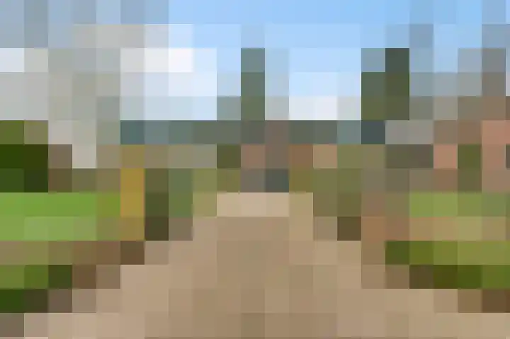 Sillenhoek 21 Leveroy thumbnail 5