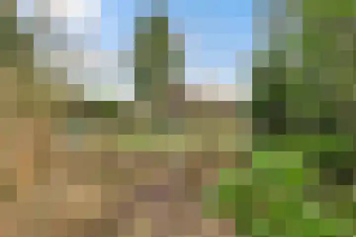 Sillenhoek 21 Leveroy thumbnail 50