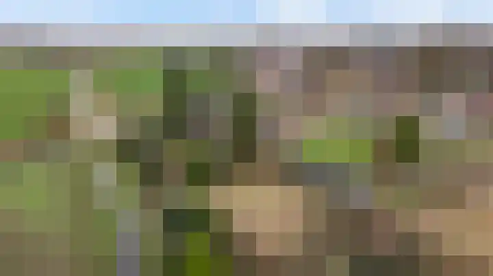 Sillenhoek 21 Leveroy thumbnail 56