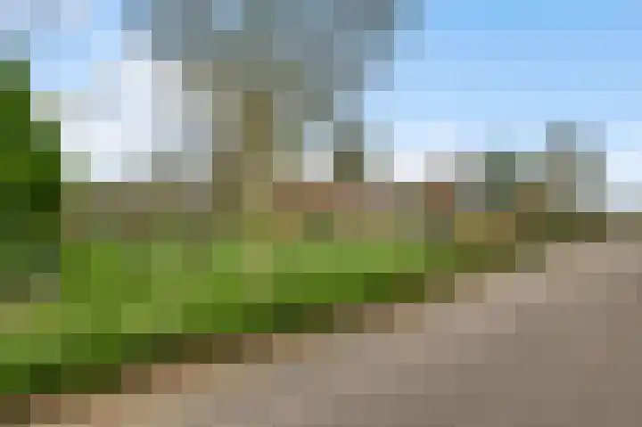 Sillenhoek 21 Leveroy thumbnail 58