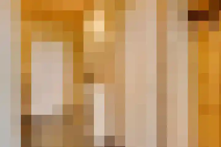 Sillenhoek 21 Leveroy thumbnail 6