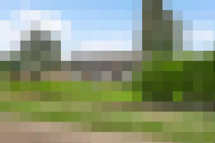 Sillenhoek 21 Leveroy thumbnail 65