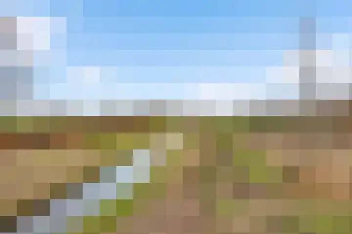 Sillenhoek 21 Leveroy thumbnail 66