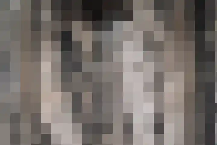 Silodam 142 Amsterdam thumbnail 22