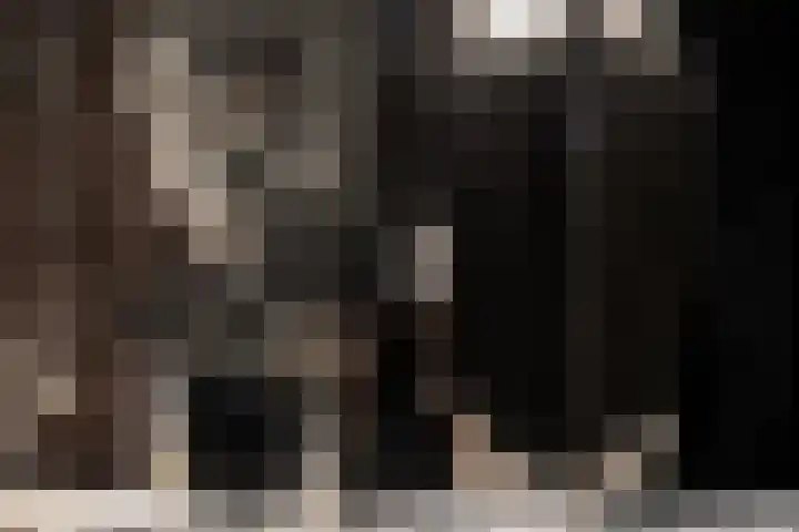 Silodam 142 Amsterdam thumbnail 26