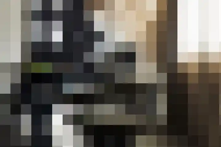 Silodam 142 Amsterdam thumbnail 5