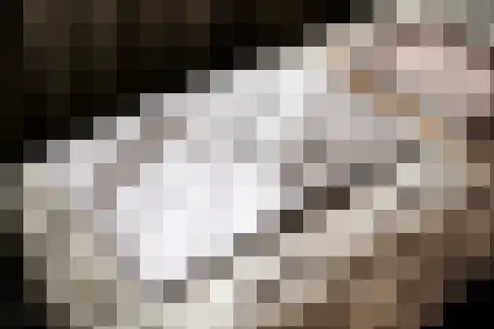 Silodam 142 Amsterdam thumbnail 7